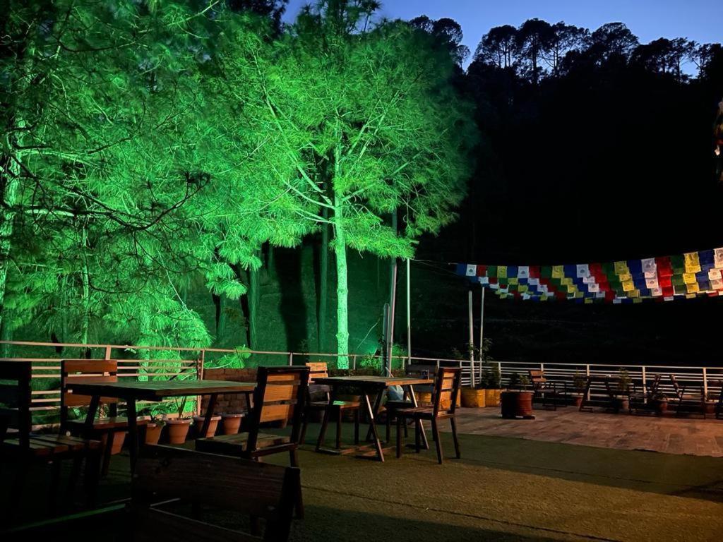Hillcrest Heights Bed and Breakfast Kasauli Exteriör bild