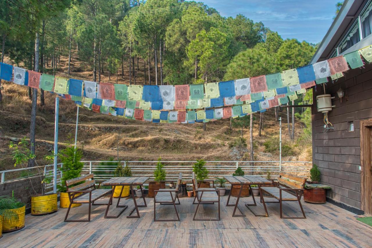 Hillcrest Heights Bed and Breakfast Kasauli Exteriör bild