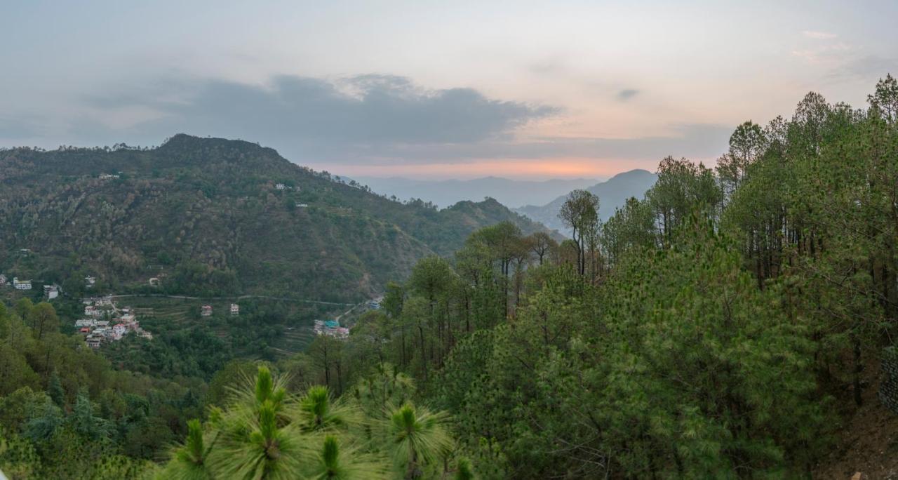 Hillcrest Heights Bed and Breakfast Kasauli Exteriör bild