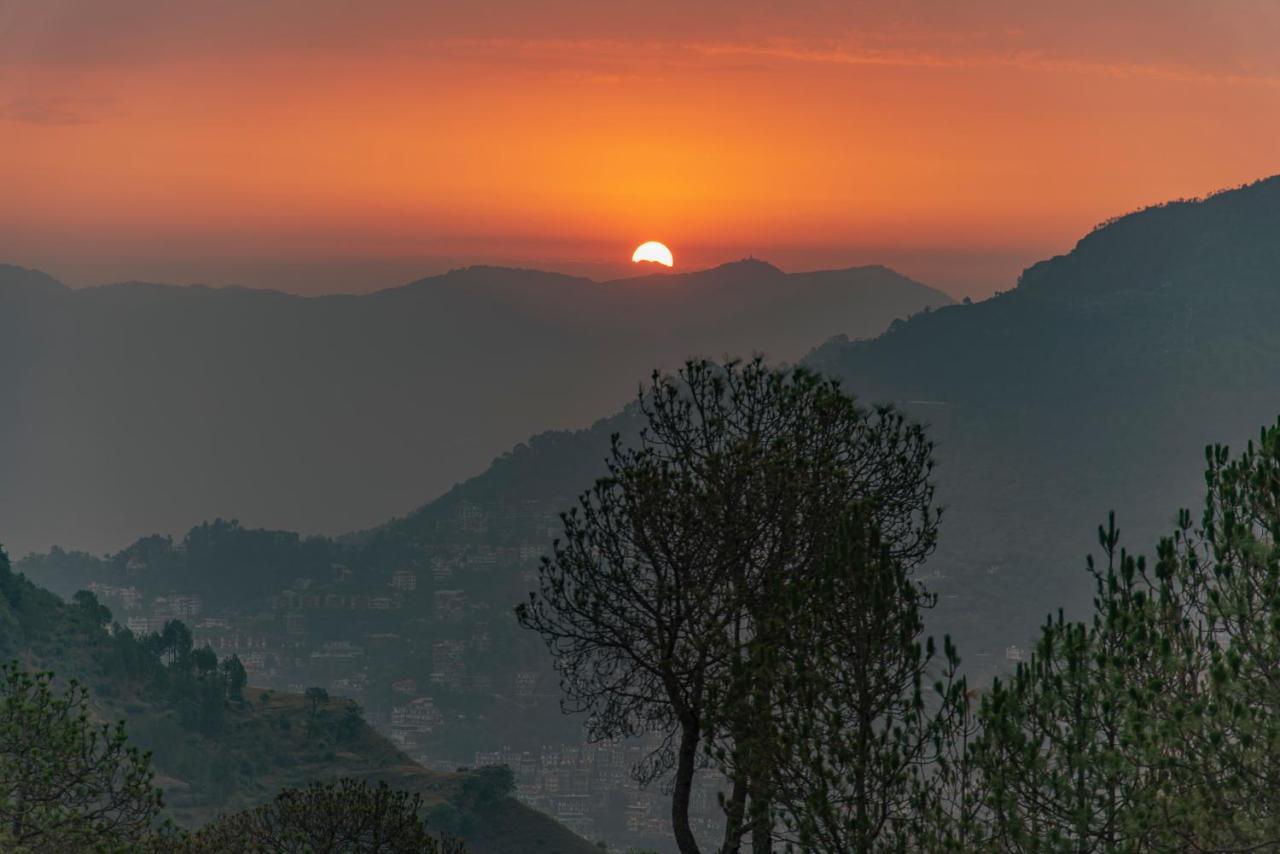 Hillcrest Heights Bed and Breakfast Kasauli Exteriör bild